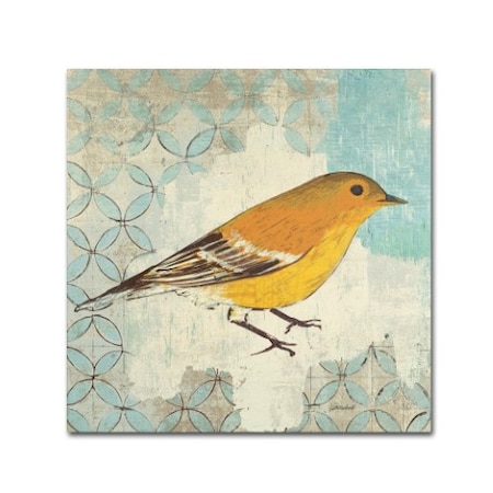 Kathrine Lovell 'Pine Warbler' Canvas Art,35x35